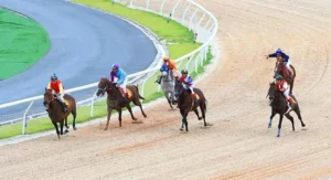 Khám Phá Sức Hút Từ Những Vòng Đua Ngựa Tại 566Bet